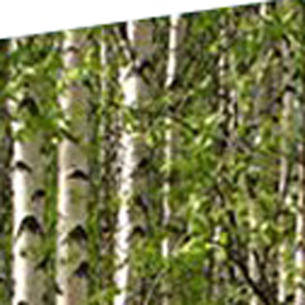 84" Green Canvas Folding Four Panel Screen Room Divider close-up detail