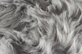 16" X 16" Gray Acrylic Solid Color Pad close-up highlighting the gray surface.
