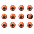 1.5" X 1.5" X 1.5" Ceramic Metal Multicolor 12 Pack Knob