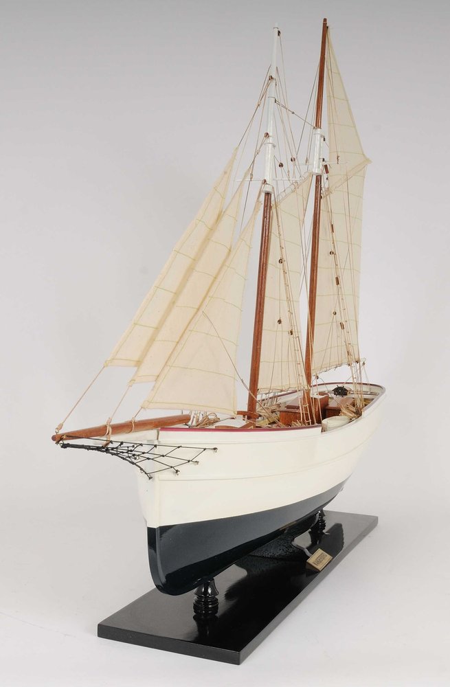 7" X 38" X 29" Wanderbird on a white background