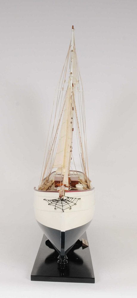 7" X 38" X 29" Wanderbird on a white background