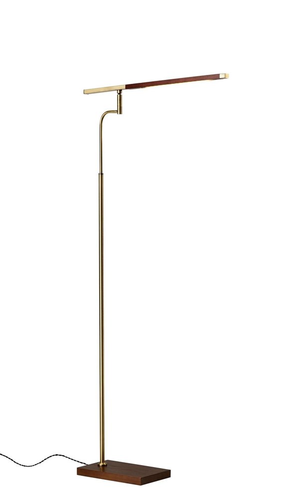 63" Brown LED Task Floor Lamp With Brass. Floor lamp isolated on a plain white background, showing a brown metal surface.