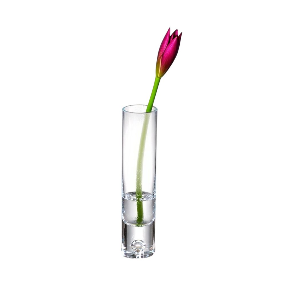Clear crystal bud vase with a pink water lily bud on a white background.