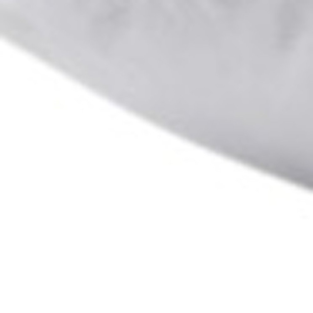 Set of Two Down Alternative Firm King Size Bed Pillows on a white background