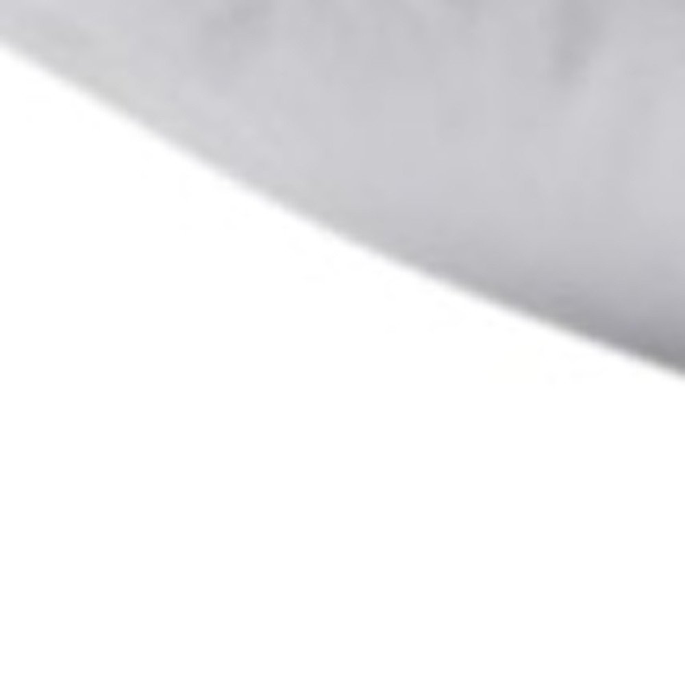 Set of Two Down Alternative Firm King Size Bed Pillows on a white background