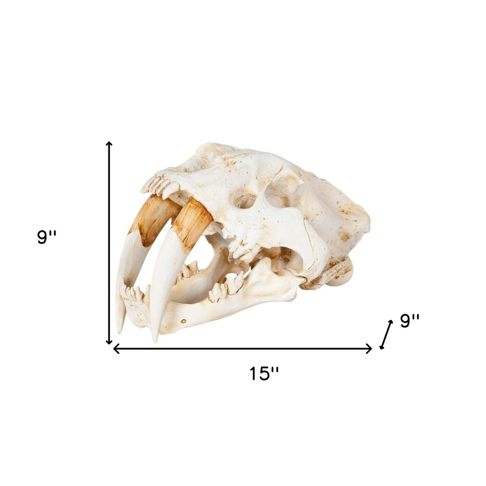 Authentic Replica Sabertooth Skull Sculpture on a white background