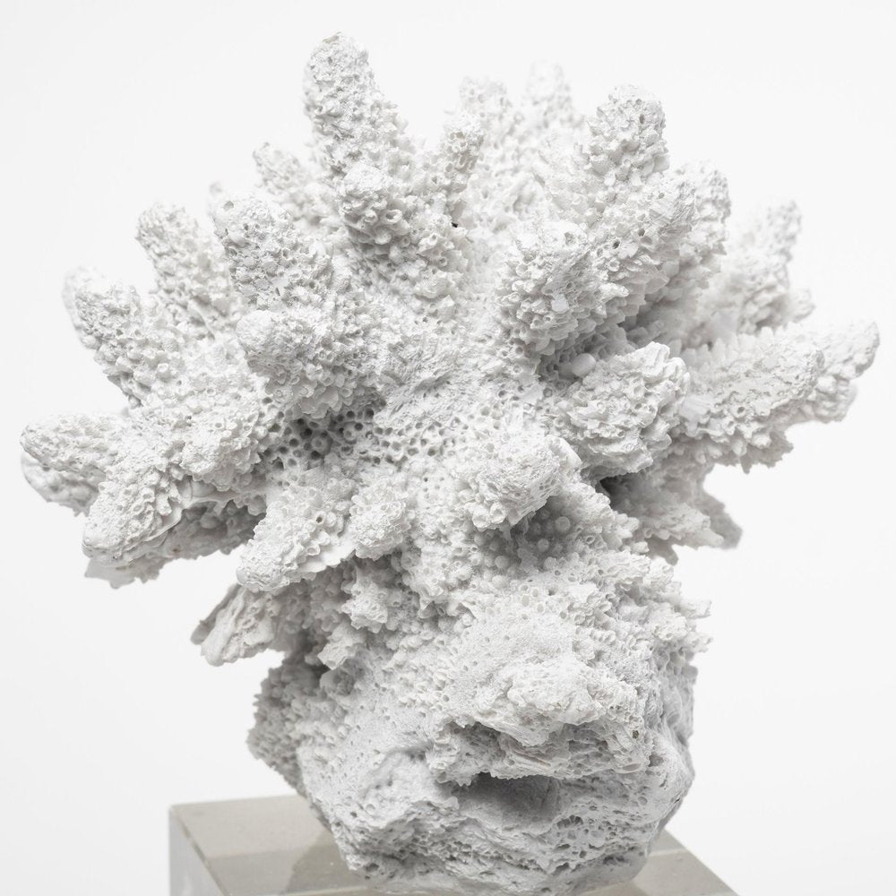10" White Metal Tabletop Sculpture. Sculpture isolated on a plain white background, showing a white metal surface.