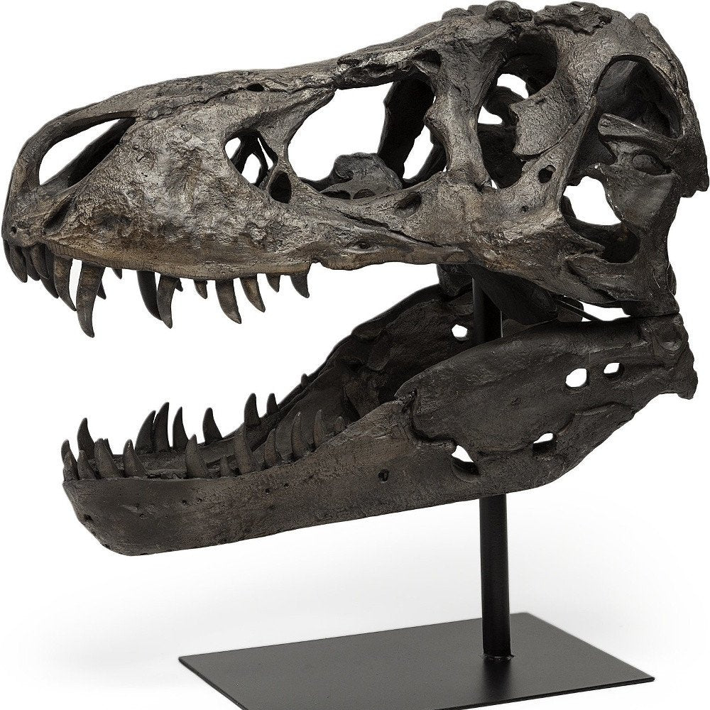 Authentic Replica T Rex Skull Sculpture on a white background