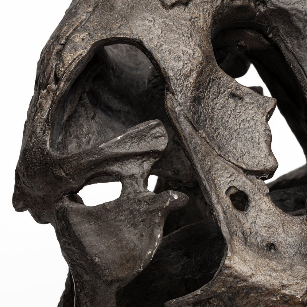 Authentic Replica T Rex Skull Sculpture close-up detail