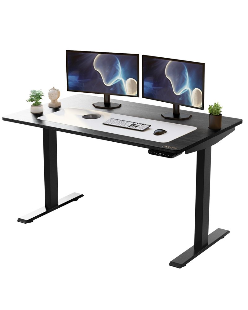 Black adjustable standing desk with dual monitors, keyboard, mouse, and plants on a white desk mat.