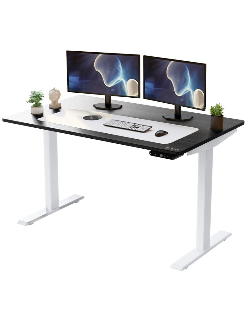 Adjustable black and white wood and stainless steel computer desk with dual monitors, keyboard, mouse, and plants.