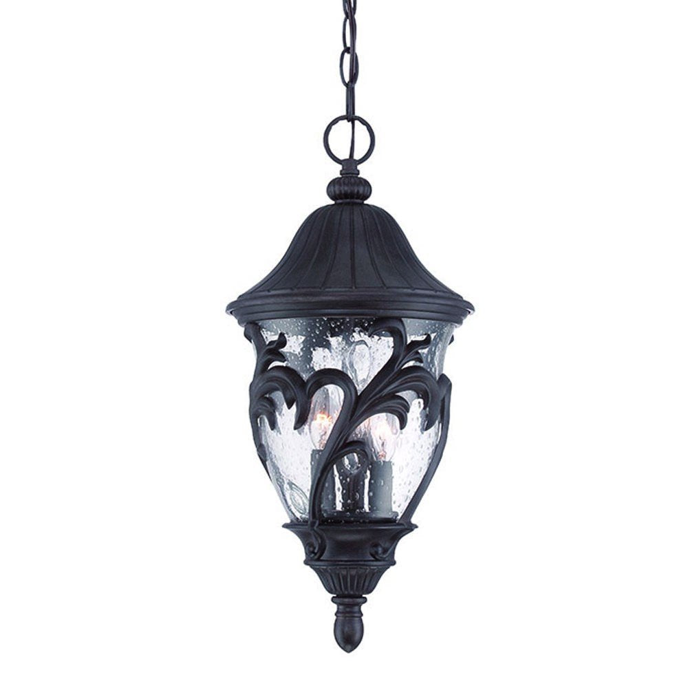 A matte black hanging lantern with seeded glass and leaf details, suspended from a chain against a white background.