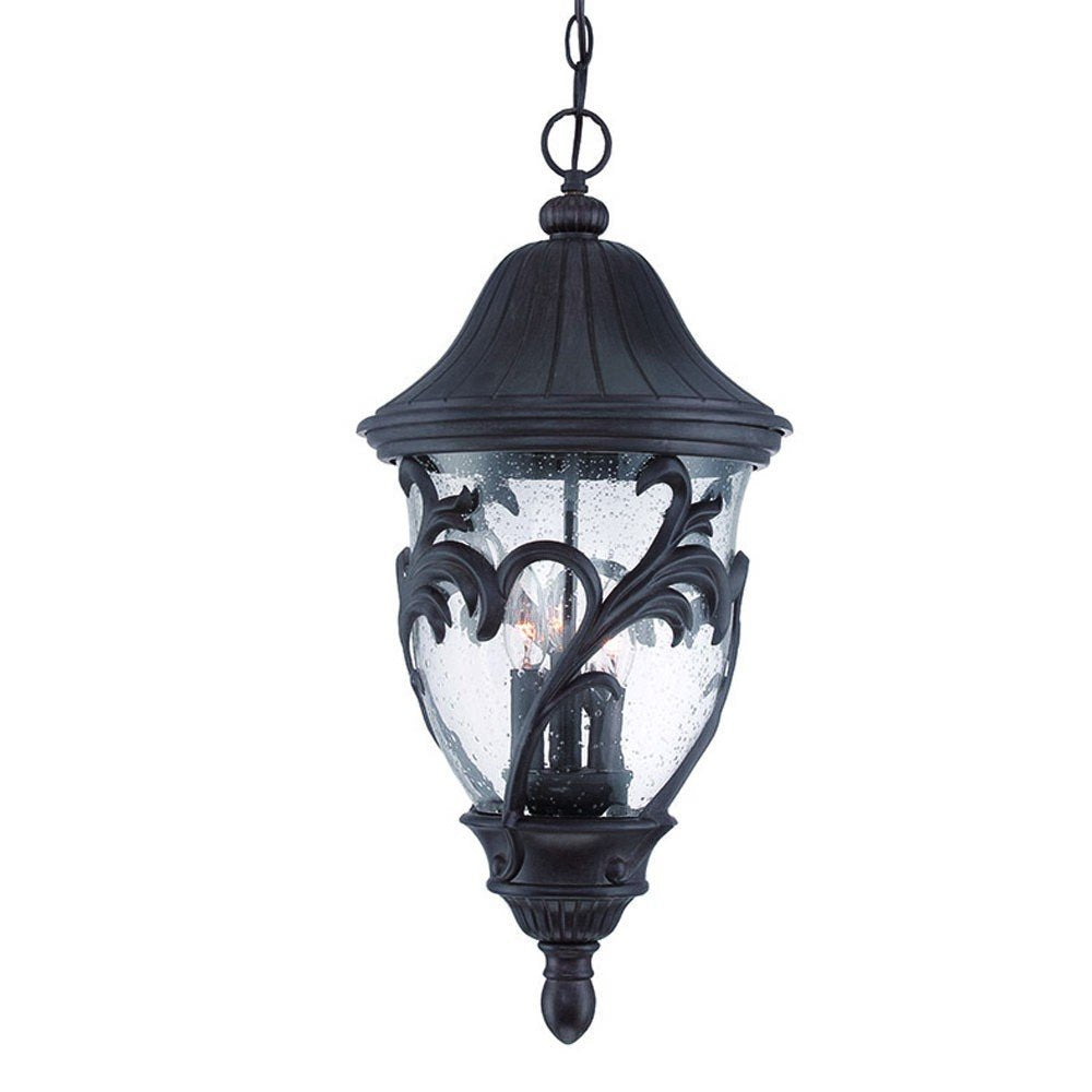 Hanging outdoor lantern with matte black finish and seeded glass, featuring decorative leaf details.
