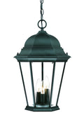 Three Light Matte Black Domed Glass Lantern Hanging Light on a white background