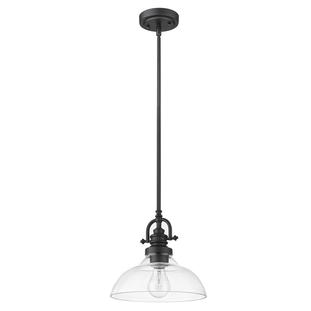 Matte Black Hanging Light with Glass Dome Shade on a white background