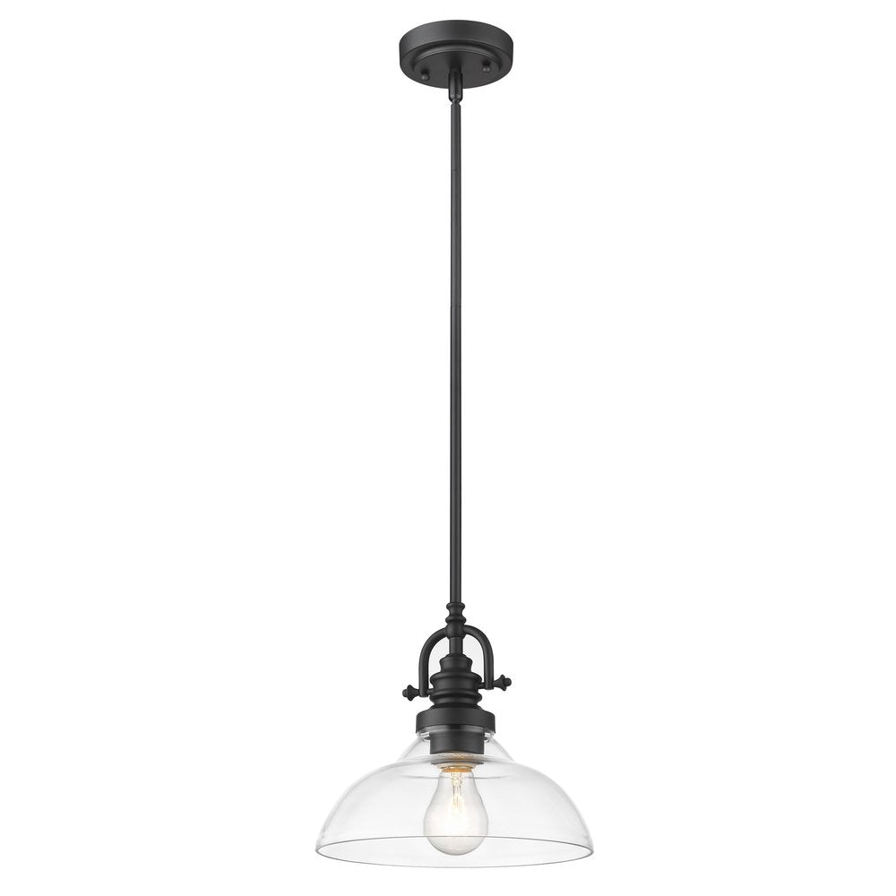 Matte Black Hanging Light with Glass Dome Shade on a white background