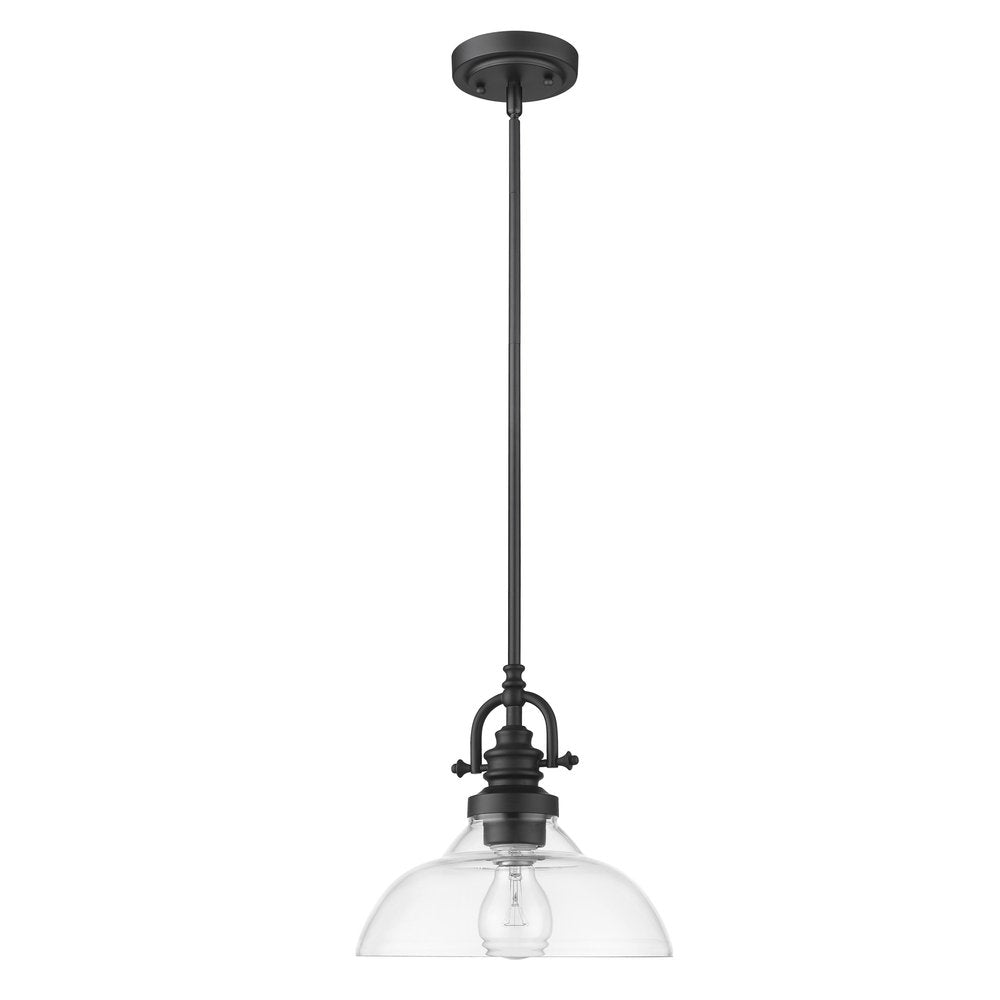 Matte Black Hanging Light with Glass Dome Shade on a white background