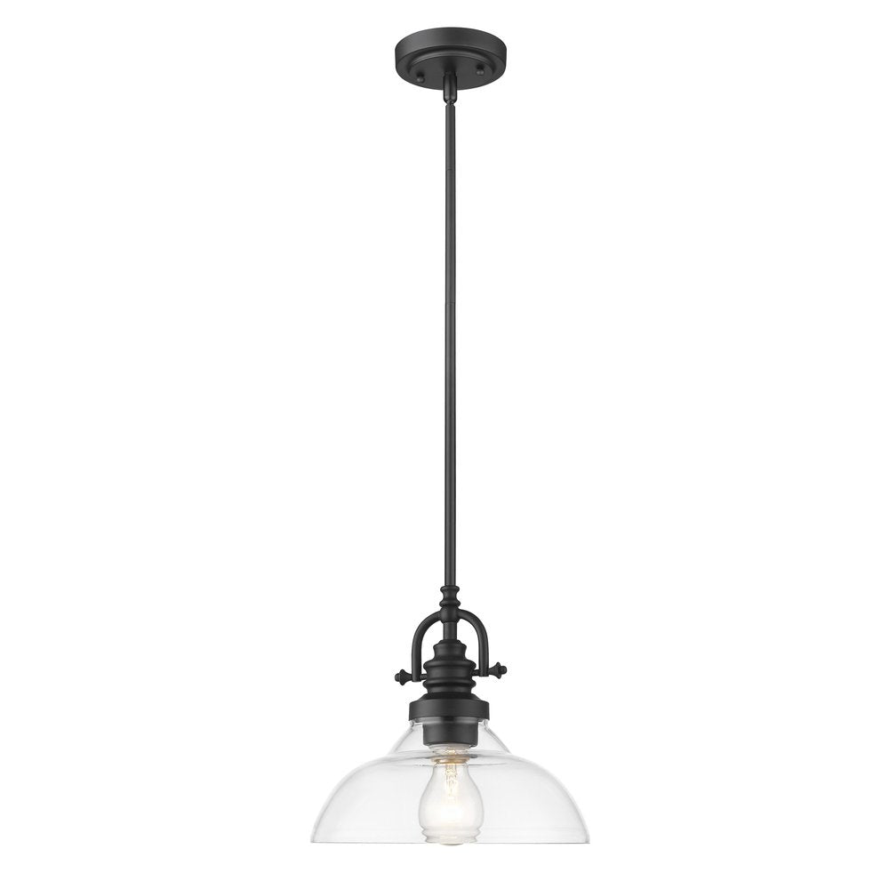 Matte Black Hanging Light with Glass Dome Shade on a white background