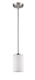 Silver Frosted Glass Hanging Light on a white background