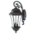 Waverly 3-Light Black Coral Wall Light on a white background