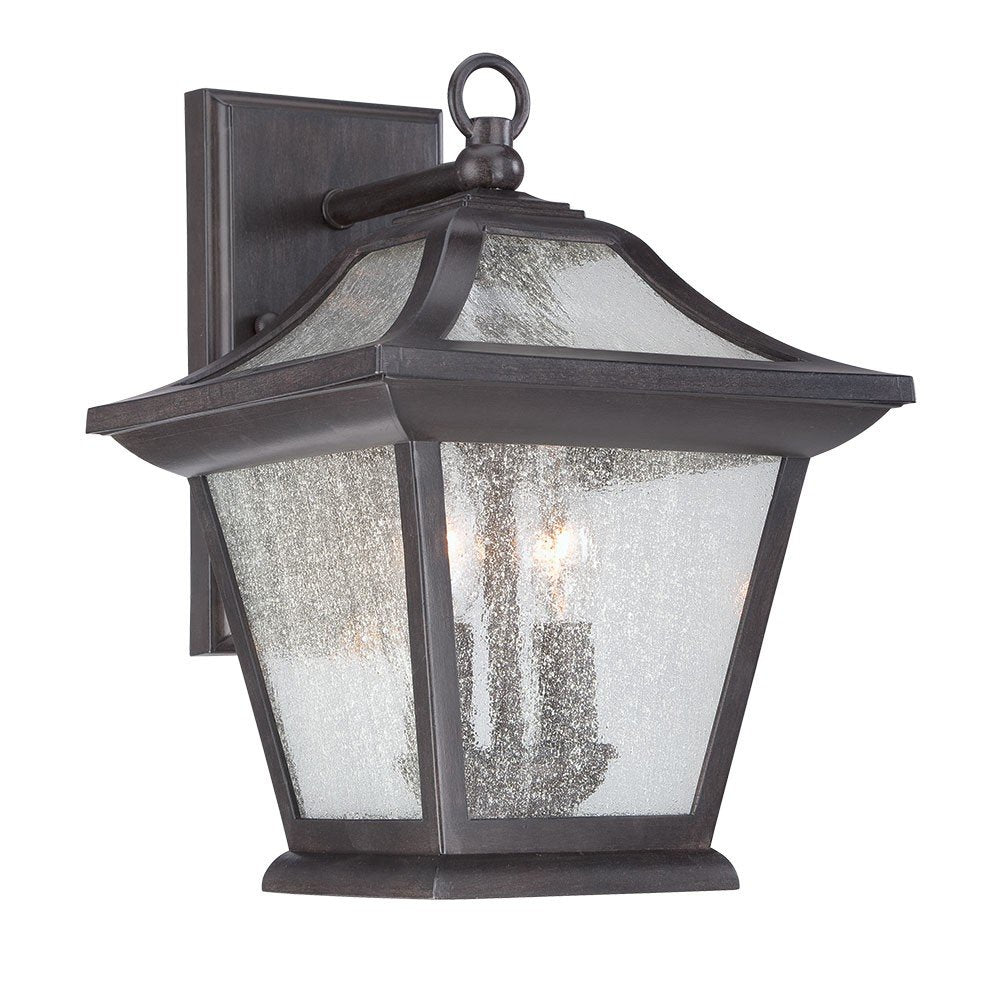 A dark bronze outdoor wall light with seeded glass panels and a birdhouse shape.