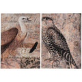 Set of Two Brown Wood Framed Art on a white background