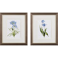 Set of Two Watercolor Dark Blue Flowers Wall Art on a white background