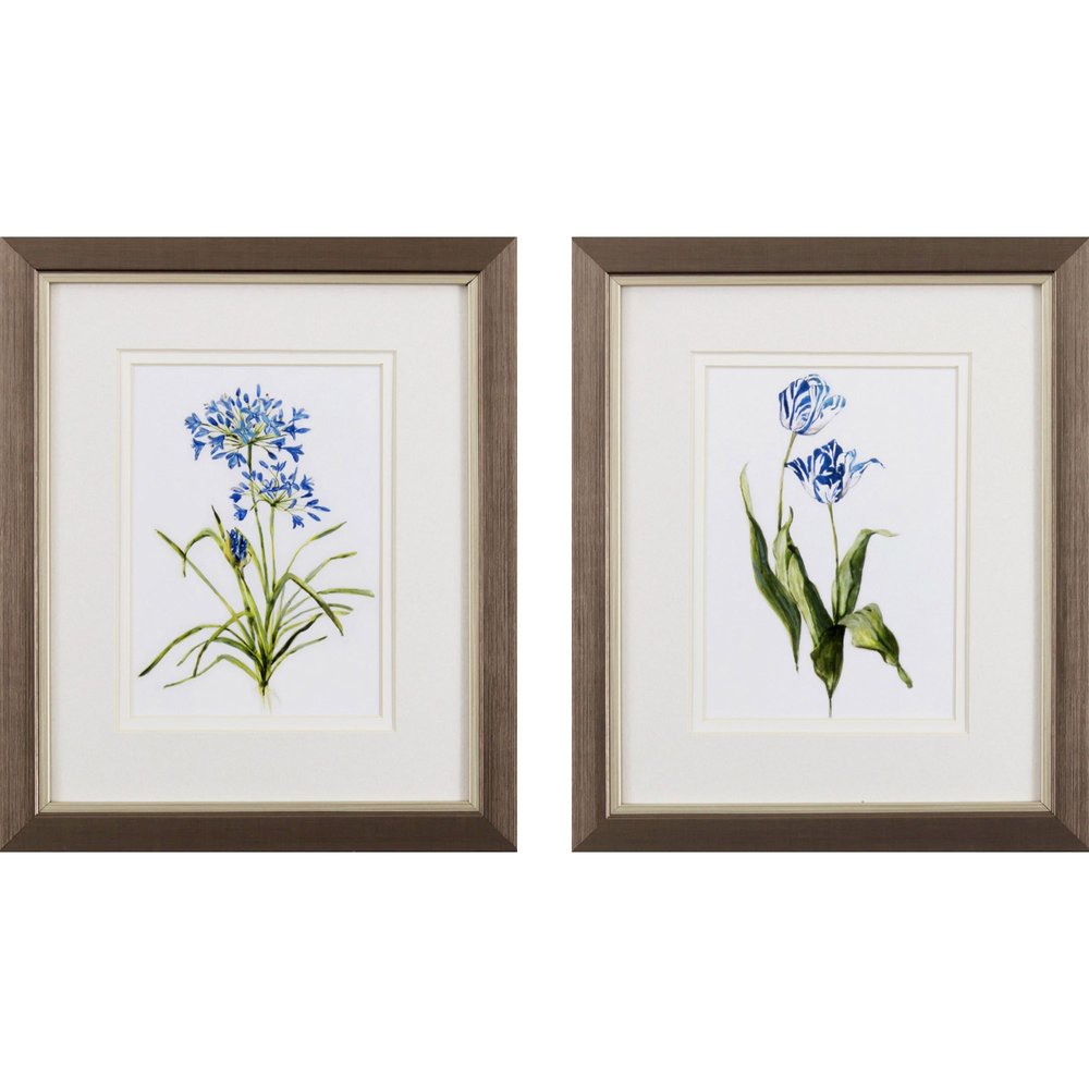 Set of two framed watercolor prints of blue flowers, one with agapanthus and the other with striped tulips, against a white background.