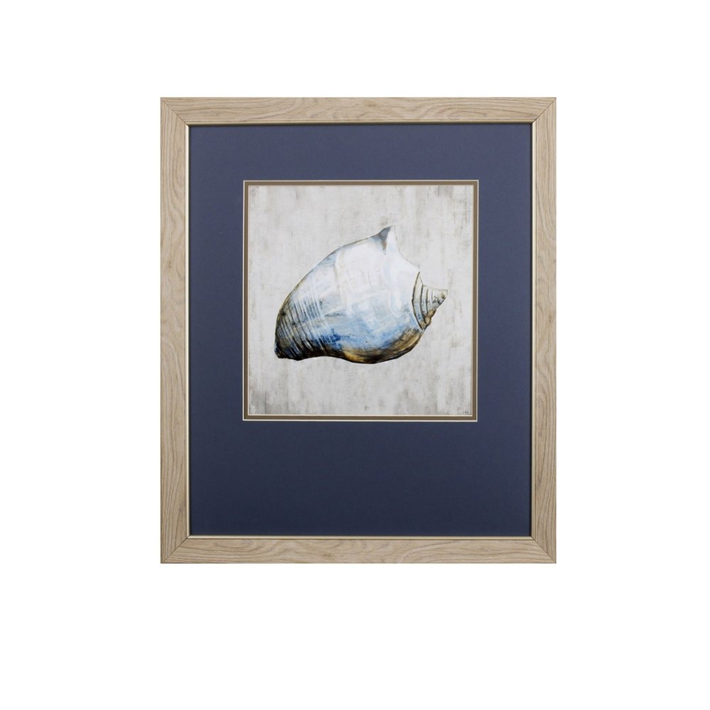 Set of Two Ocean Seashells Wall Art on a white background