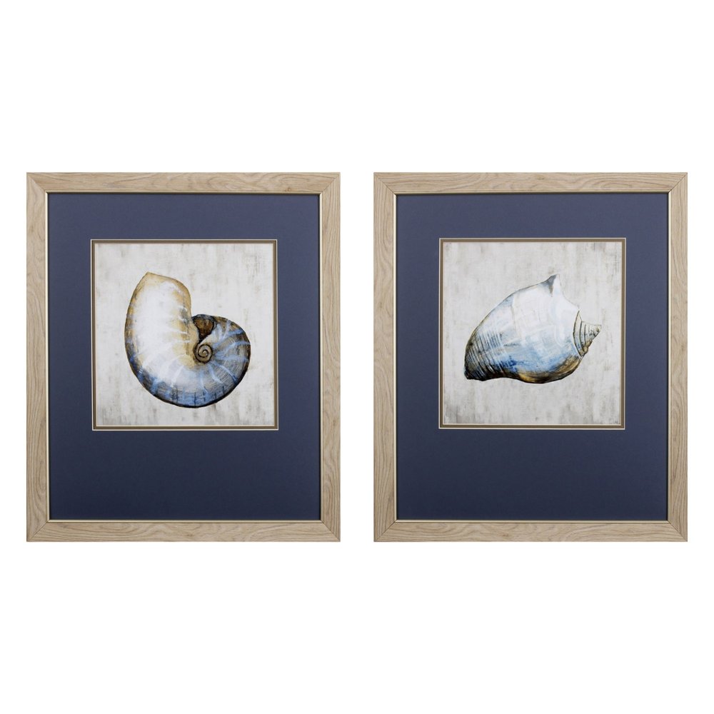 Set of Two Ocean Seashells Wall Art on a white background