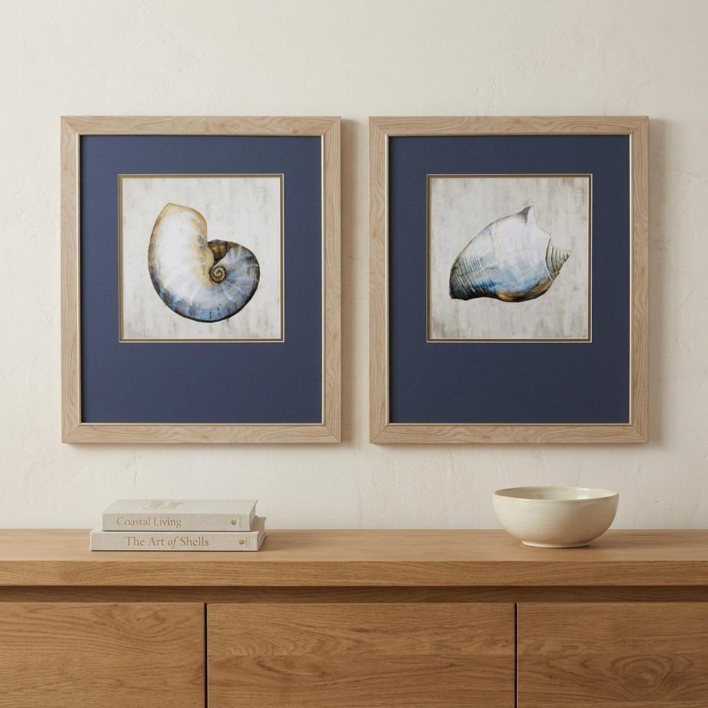 Set of Two Ocean Seashells Wall Art in a home interior