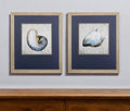 Set of Two Ocean Seashells Wall Art
