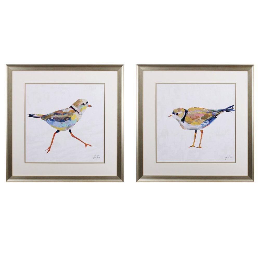 Two framed paintings of colorful beach birds with silver frames on a white background.