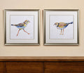 Set of Two Colorful Beach Birds Wall Art