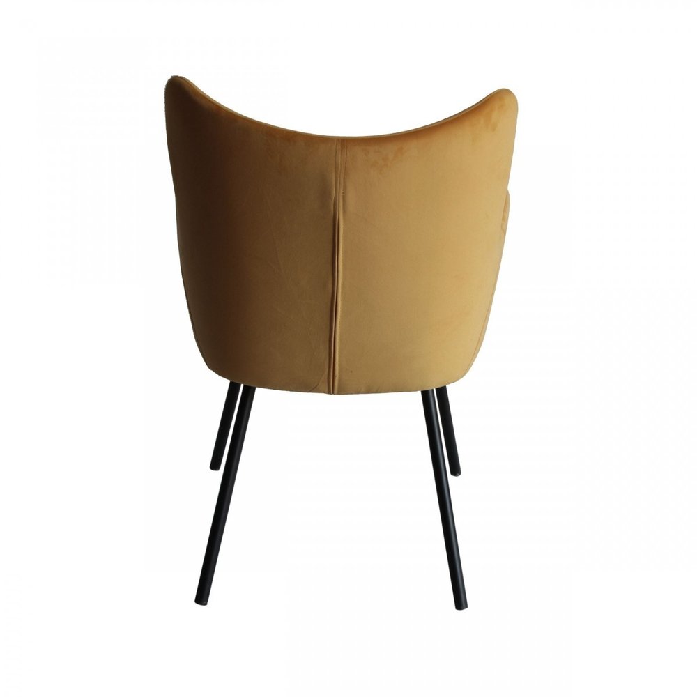 Yellow and Black Upholstered Velvet Wing Back Dining Arm Chair on a white background