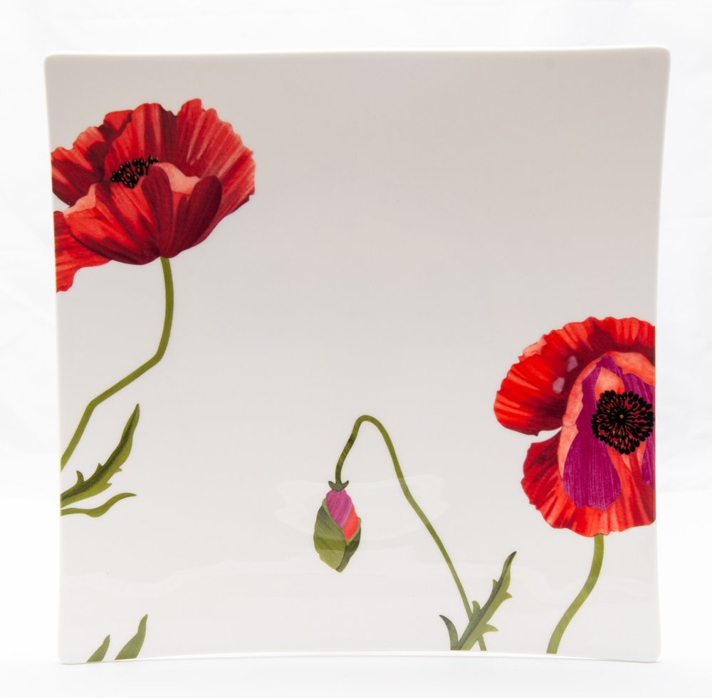 Red and White Six Piece Square Floral Bone China Service For Six Dinner Plate Set on a white background