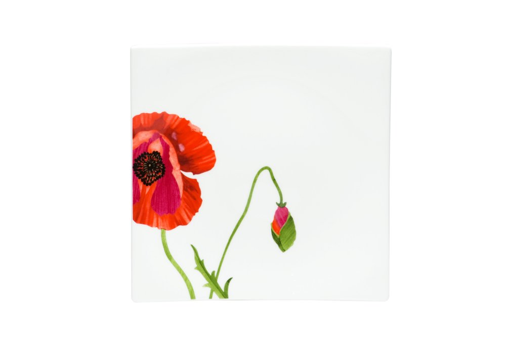 Red and White Six Piece Square Floral Bone China Service For Six Salad Plate Set on a white background