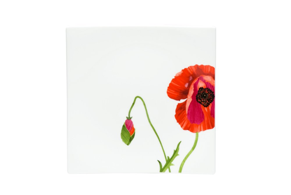 Red and White Six Piece Square Floral Bone China Service For Six Salad Plate Set on a white background