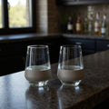 Set of Two Clear And Gray Plastic Convex Curve Shape Stemless All Purpose Wine Glass