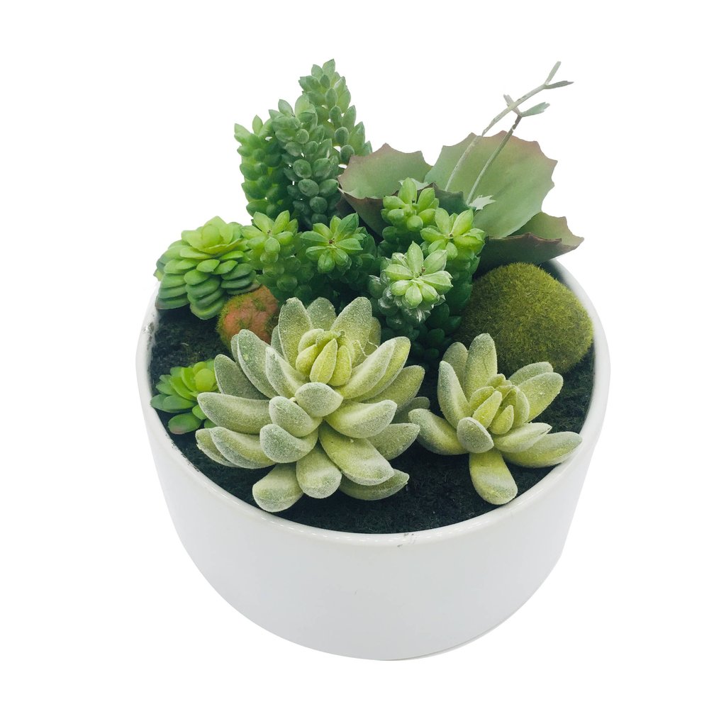 7" Green Artificial Succulent In A Round White Porcelain Planter on a white background