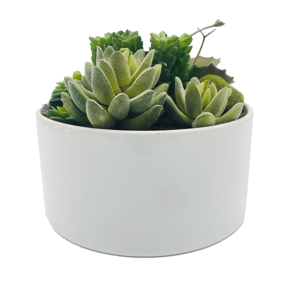 7" Green Artificial Succulent In A Round White Porcelain Planter on a white background