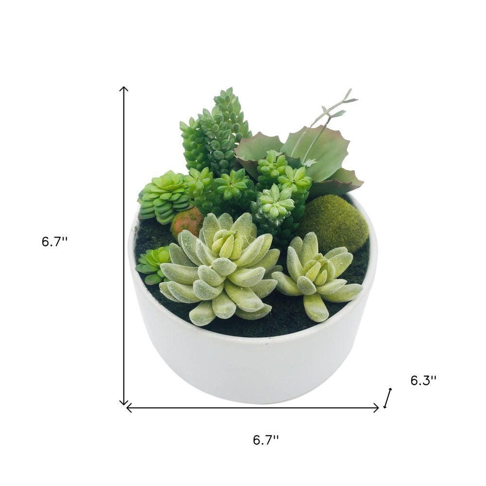 7" Green Artificial Succulent In A Round White Porcelain Planter on a white background