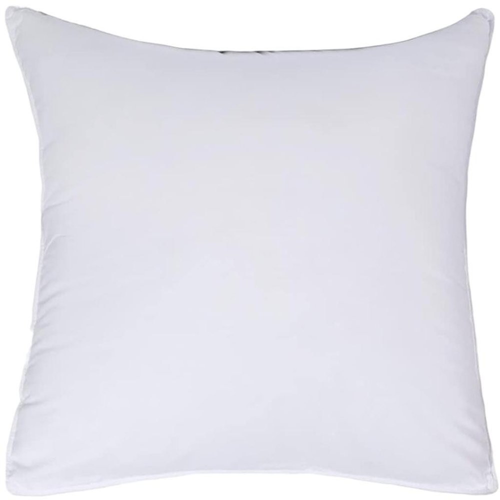 Set of Two Microfiber Down Alternative Medium Hypoallergenic European Size Bed Pillows on a white background