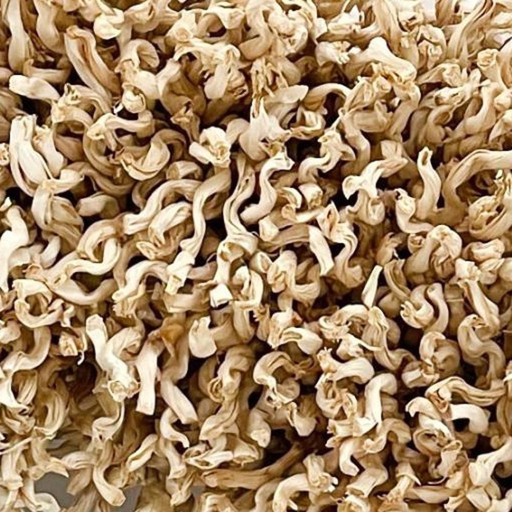 23" Natural Maize Dried Wreath. Wreath in tan.