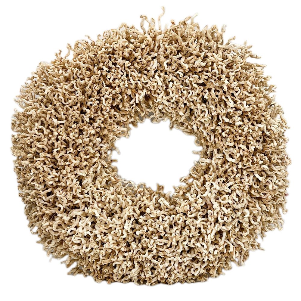 23" Natural Maize Dried Wreath. Wreath isolated on a plain white background, in a tan finish.