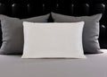 Cotton Latex Foam And Wool Hypoallergenic Standard Size Bed Pillow