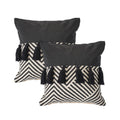Set of Two Black and White Chevron Cotton Throw Pillow With Tassels on a white background