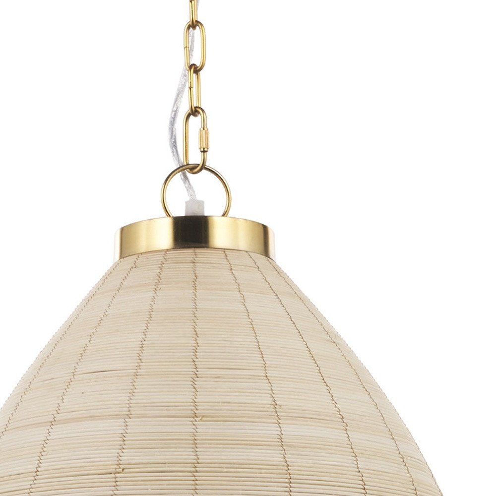 Brown Single Metal Dimmable Ceiling Light With Brown Shades on a white background