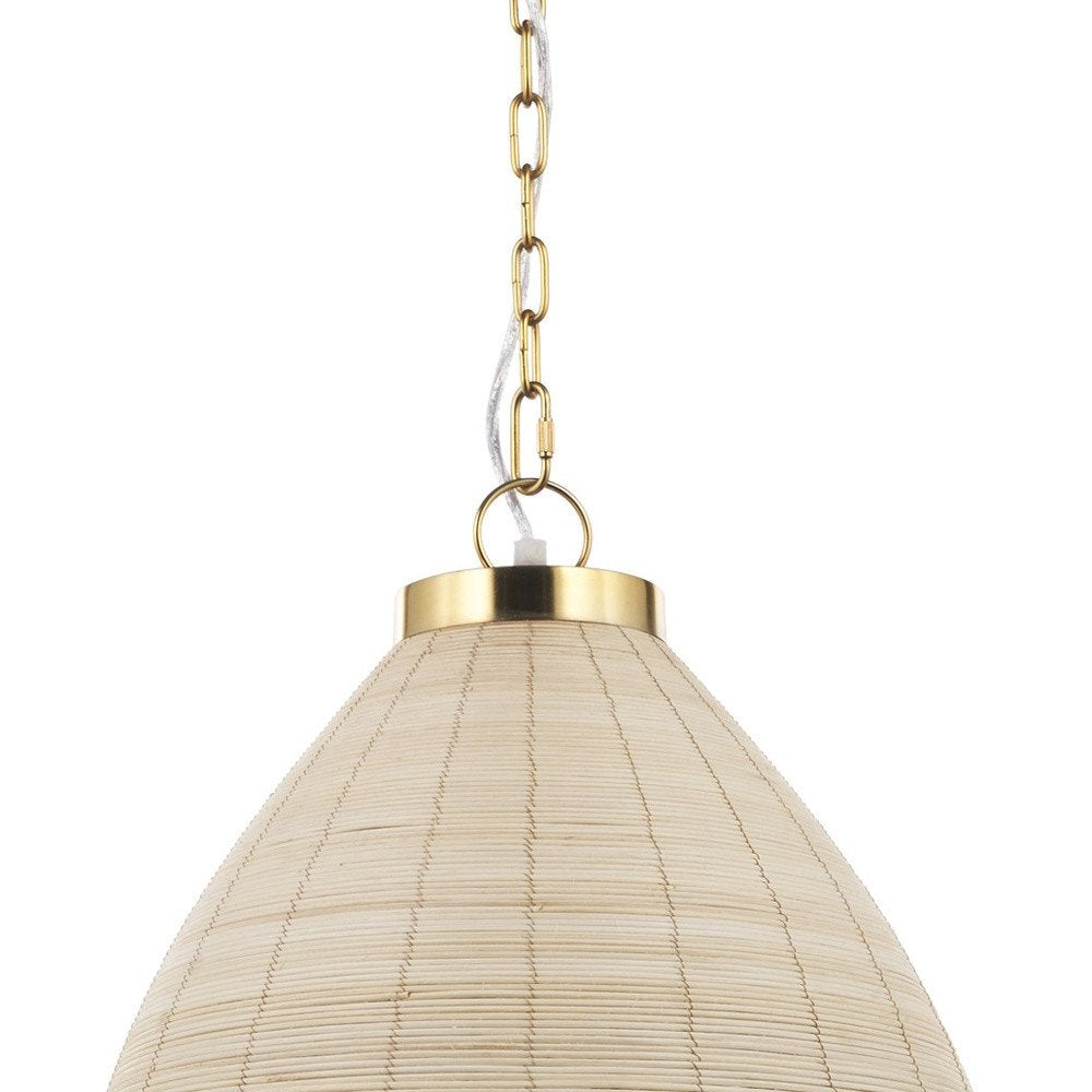 Brown Single Metal Dimmable Ceiling Light With Brown Shades on a white background