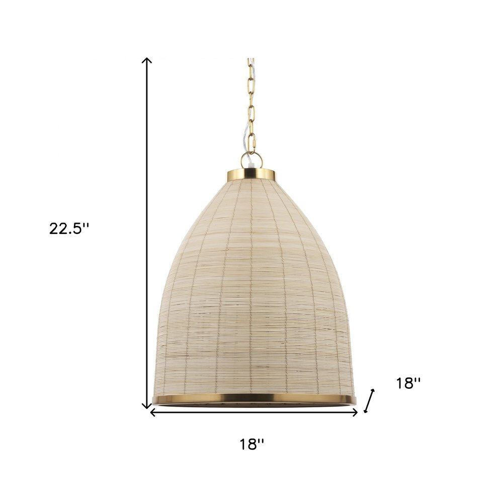 Brown Single Metal Dimmable Ceiling Light With Brown Shades on a white background